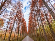 潘安湖国家湿地公园-徐州-C-IMAGE