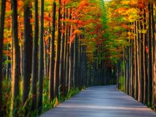 潘安湖国家湿地公园-徐州-C-IMAGE