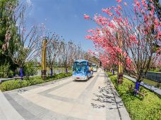 潘安湖国家湿地公园-徐州-C-IMAGE