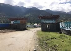 鲁朗花海牧场景区-林芝-陌染MM