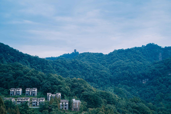 青城山桐去山境 寻找那一份消失在都市里的趣味。