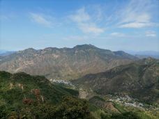 野三坡百草畔景区-涞水-大松树叶子