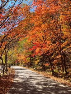 蒲石河森林公园-凤城-小Q