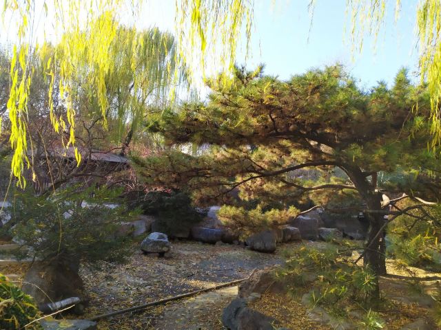 双秀公园旅行图片 2