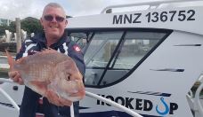 豪拉基湾-奥克兰-yangduoduo17