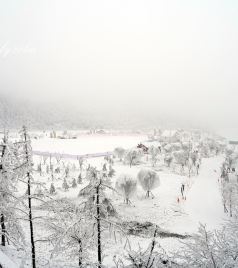 丰都游记图文-丰都南天湖，现实版的冰雪奇缘，梦幻又好玩，重庆赏雪玩雪的好地方