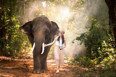 泰国大象自然保护公园-Kuet Chang