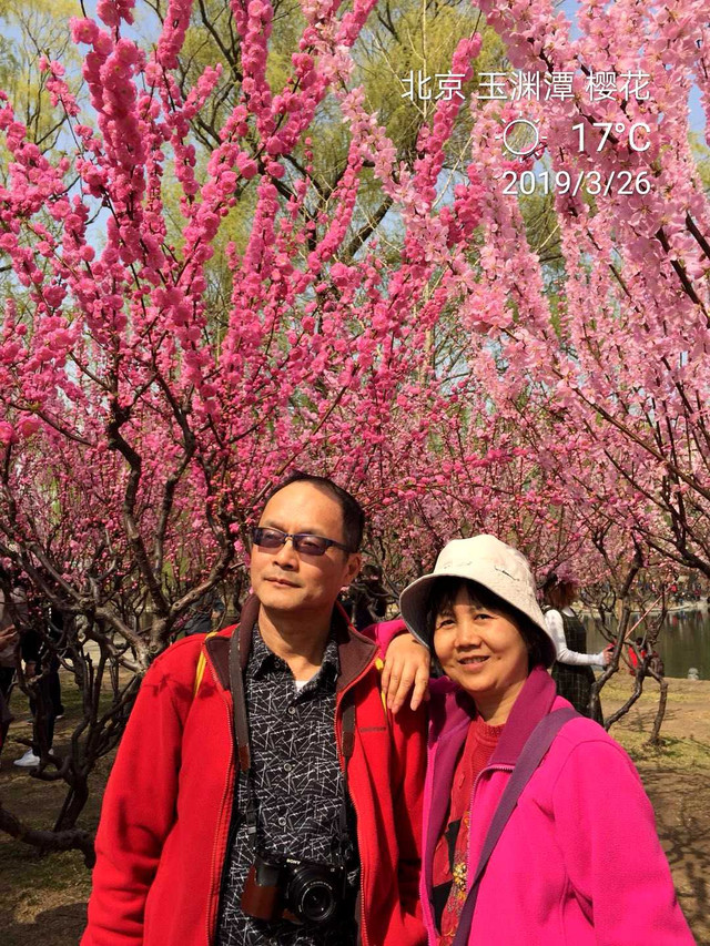 北京春季必游的4个鲜花节（小田木作品）-北京游记攻略【携程攻略】