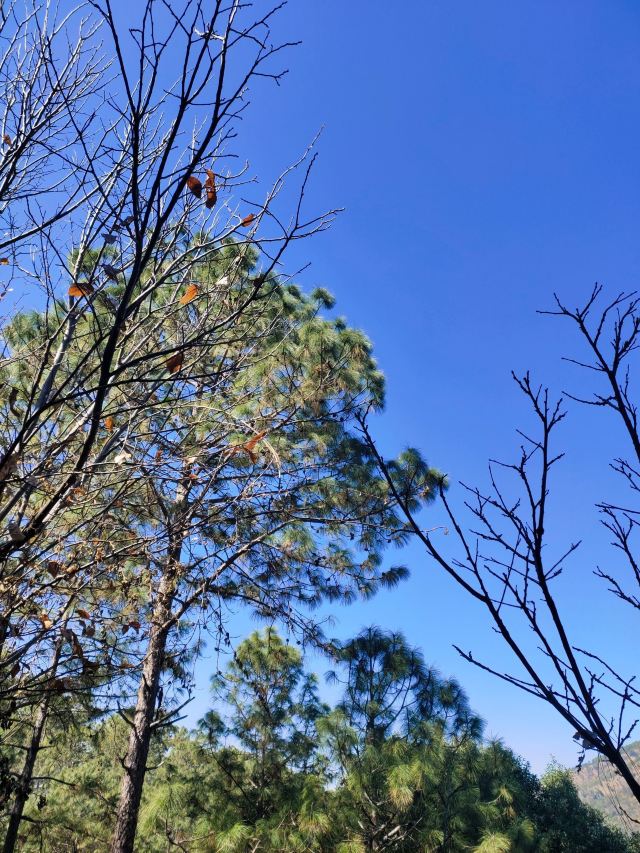 宝鼎生态旅游景区旅行图片 6
