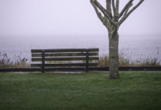 北关海潮公园景点图片