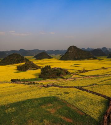 景洪游记图文-靠近你温暖我--自驾三十七天云贵之旅