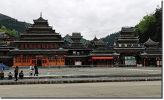 元阳游记图片] 云贵春暖花开季民族风情风光揽胜之旅(百里杜鹃、元阳梯田、梵净山和肇兴等地）