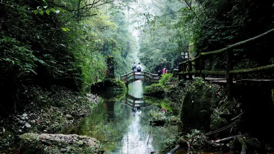 翠映湖