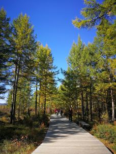 杜鹃湖-阿尔山-ale****af