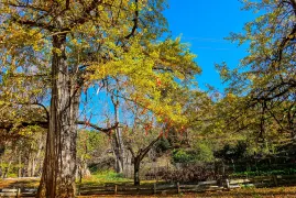 2-Day Youxi Tour: Zhuzi Culture Court's historical charm, Xiatianxia Scenic Area's adventure