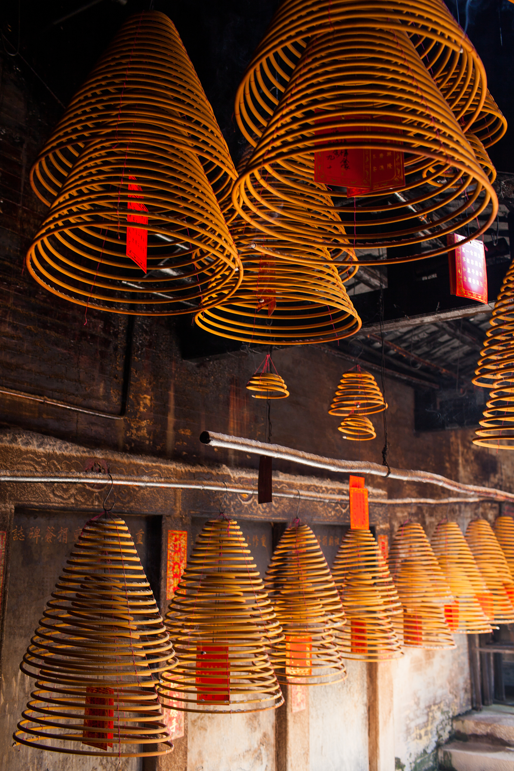 1-Day Guiping Tour: Pak Tai Temple's religious heritage, Longtan Forest's natural allure