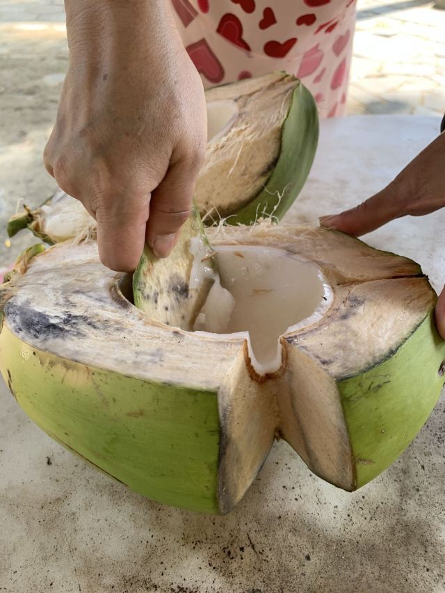 东郊椰林风景名胜区旅行图片 4