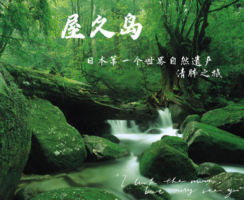 此生必去,日本第一个世界自然遗产