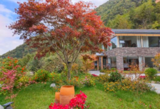 篱夏小厨美食图片