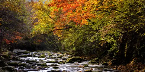 水洞國家重點風景名勝區湯溝景區