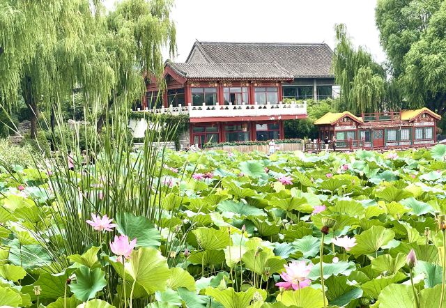 西海旅行图片 2