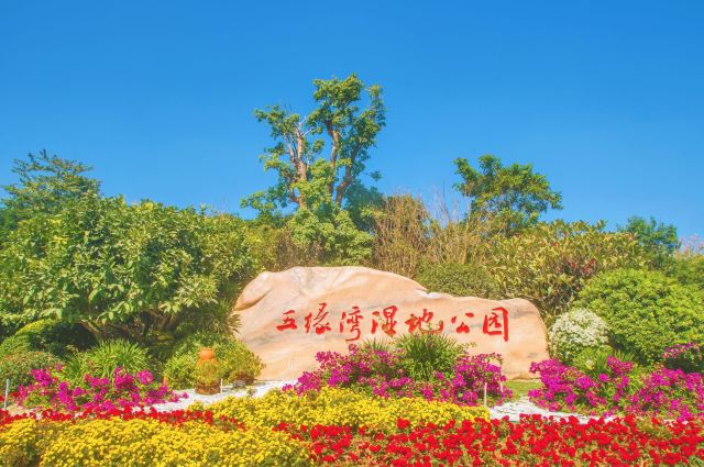 五缘湾湿地公园旅行图片 1