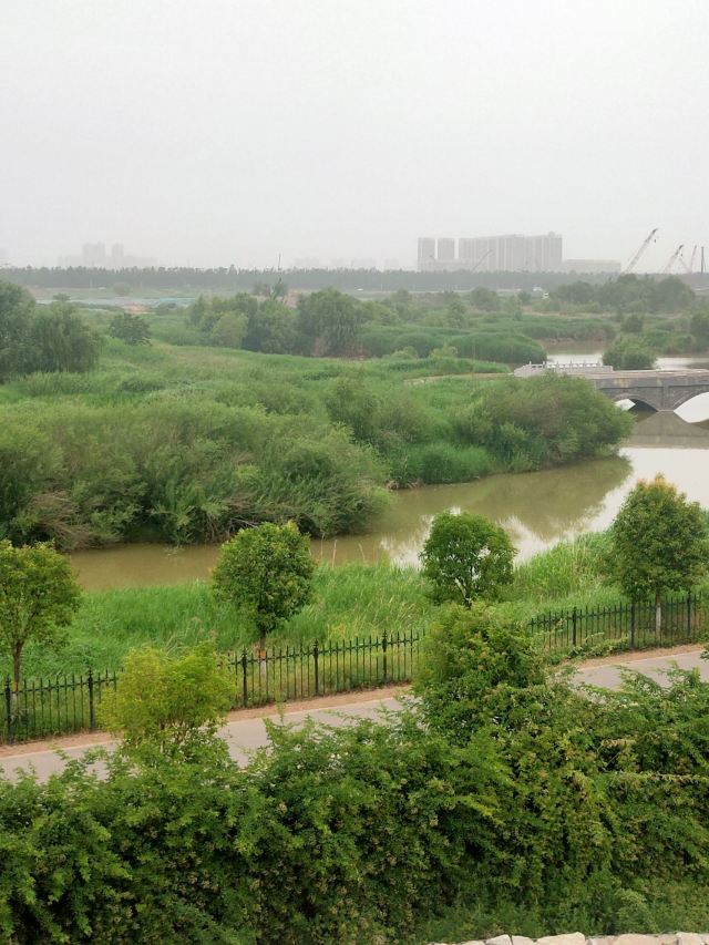灞渭生态滩区旅行图片 14
