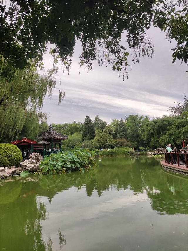 宣武艺园旅行图片 5