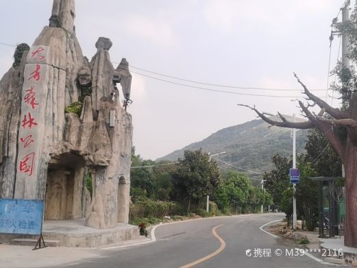大寺森林公园