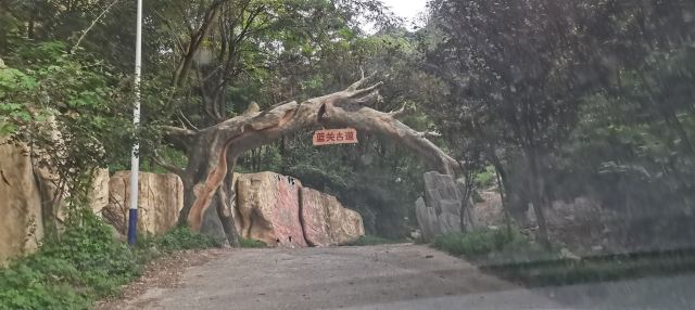 蓝关古道观景台旅行图片 9