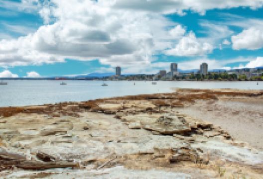 纽卡斯尔岛景点图片