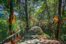 经律论文化旅游小镇-韶关-C-IMAGE