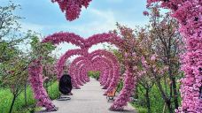 美樱花海-重庆-C-IMAGE