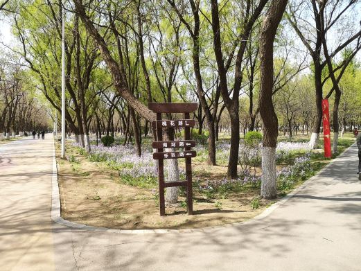 铁西森林公园