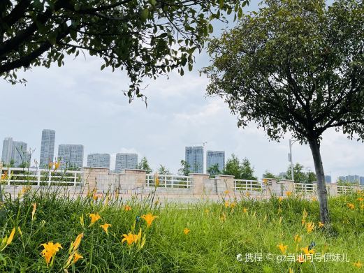 湘江江滩公园
