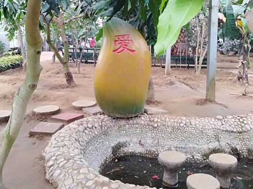 烟台农博园