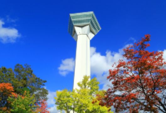 五棱郭塔景点图片