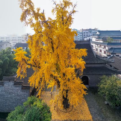 扬州+瘦西湖+和园+个园+大明寺+中国大运河博物馆4日3晚私家团