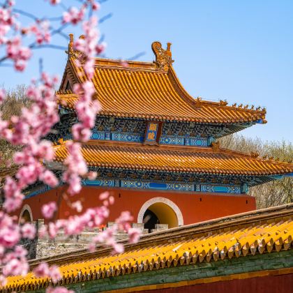 荆门+漳河风景名胜区+阳光沙滩+明显陵文化旅游景区+大口国家森林公园3日2晚私家团