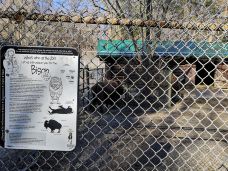 海柏公园-多伦多-BetTerDAY