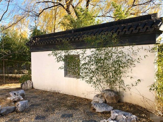 花博会主题公园旅行图片 6