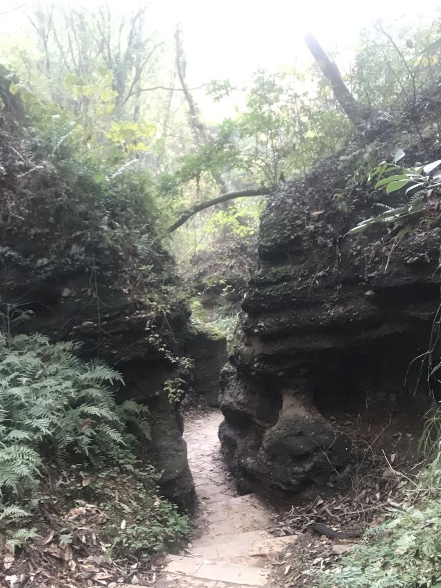 水镜庄旅行图片 6