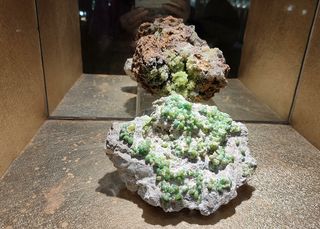 东方地质科普馆,千姿百态话沧桑(3)——上海3日(8)