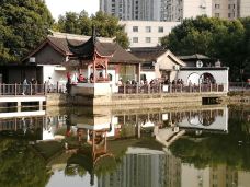 和平公园-上海-悠然微笑的