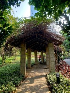 珠江公园-广州-野渡