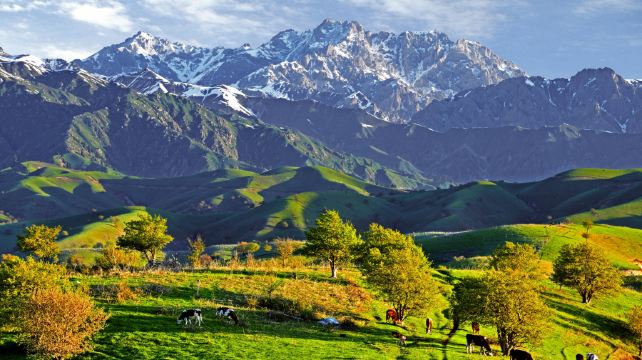 中华福寿山景区