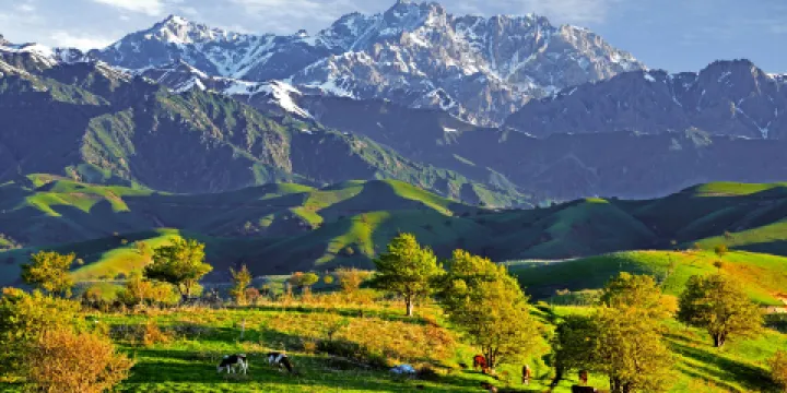 中華福壽山景區