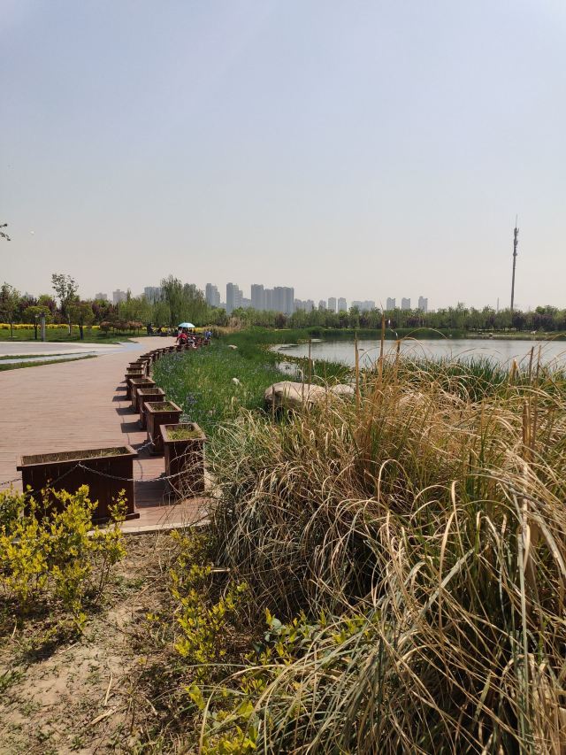 两寺渡公园旅行图片 14