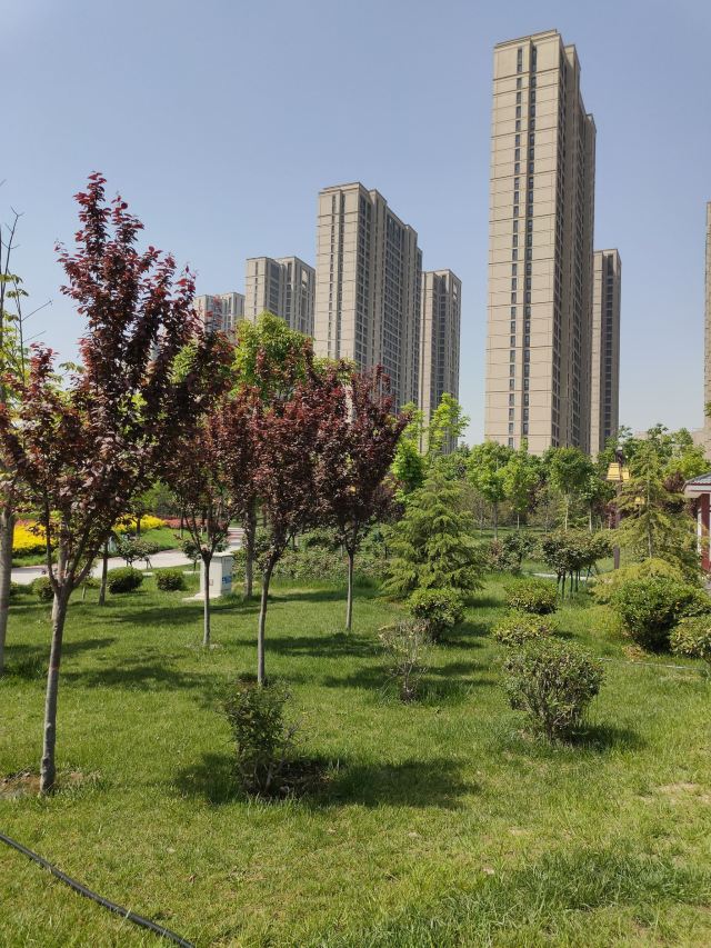 两寺渡公园旅行图片 13