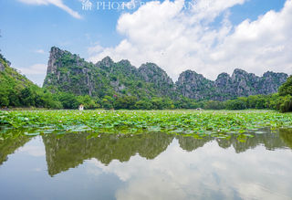 藏在广西大山中的湖泊，徐霞客为它曾跋涉千里，荷花盛放美成仙境